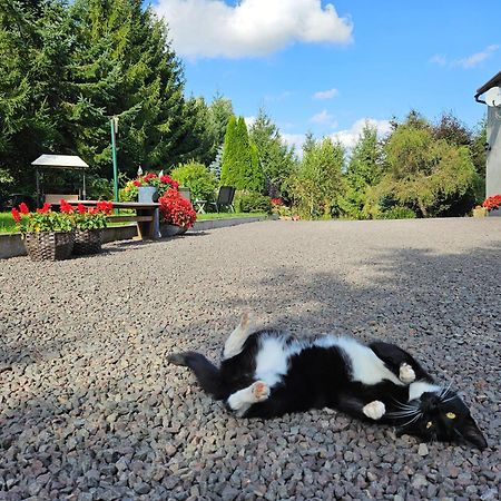 Noclegi U Przewodnikow - Zwiedzaczek Lubawka Luaran gambar