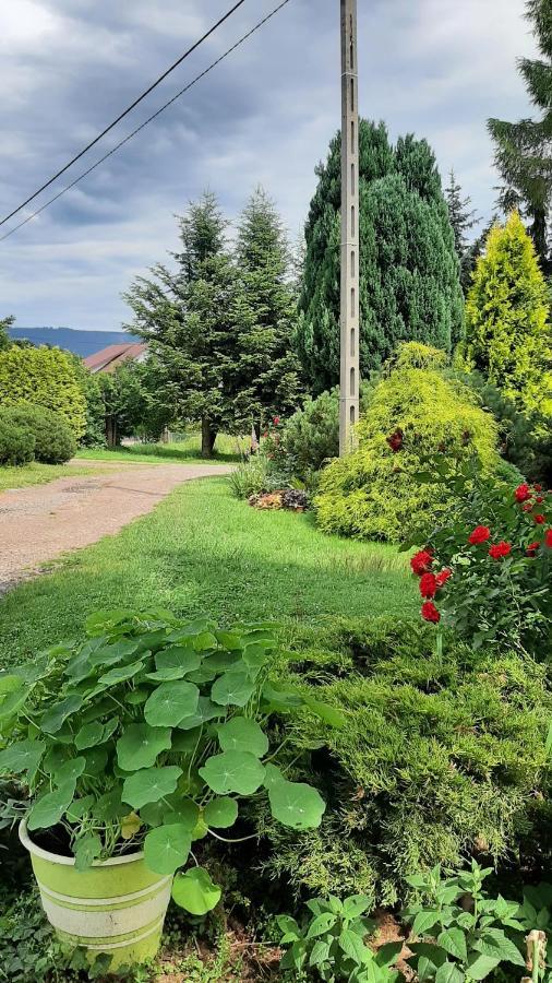 Noclegi U Przewodnikow - Zwiedzaczek Lubawka Luaran gambar